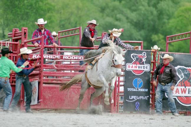 When the gate swings open a horse charges out with a determined rider in the saddle during the bronco riding contest.