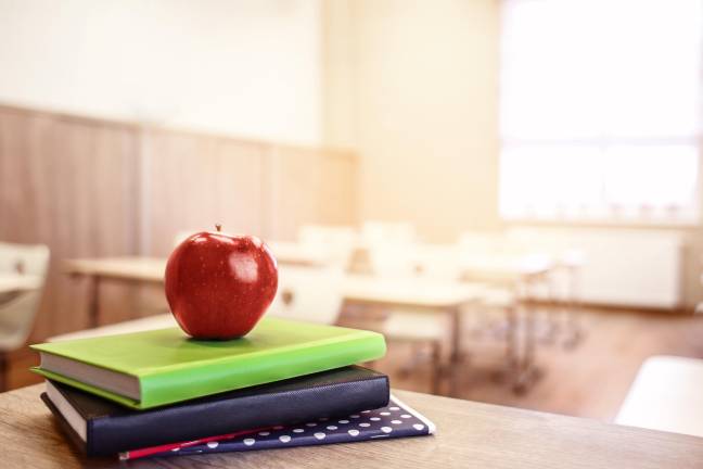 How local districts vary in size and spending