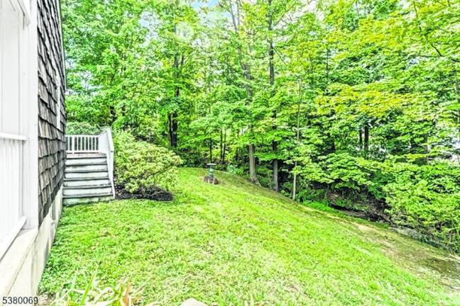 An 18th century beauty