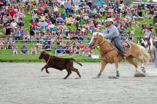 A calf is ensnared by the lasso during the tie down roping contest.