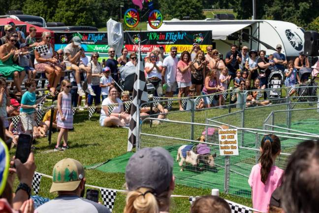 A crowd watches the pig races Sunday, Aug. 6. (Photo by Aja Brandt)