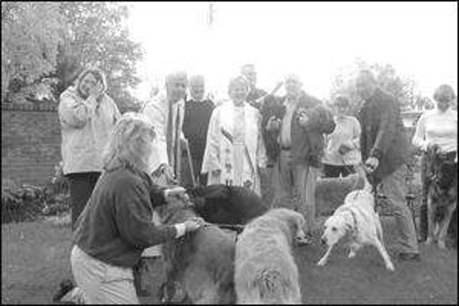 The Blessing of the animals