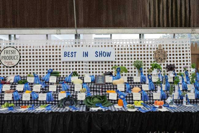 <b>The vegetable show is challenging fairgoers to take a stab at judging various veggies in the greenhouse this year. (Photo by MVanek Photography)</b>
