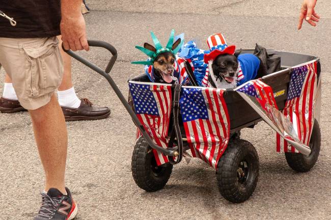 Dogs have their day