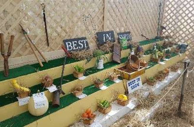 Best in Show Vegetables on display in the Greenhouse.