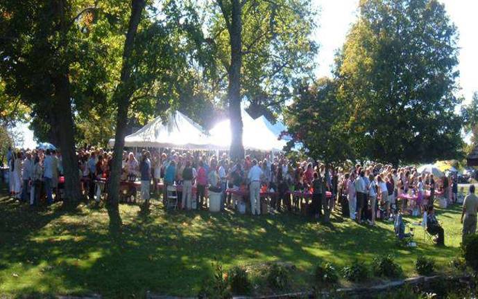 The guests at last year's festival at Waterwheel Farm in Fredon