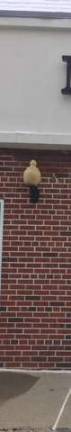 Where in Sparta?