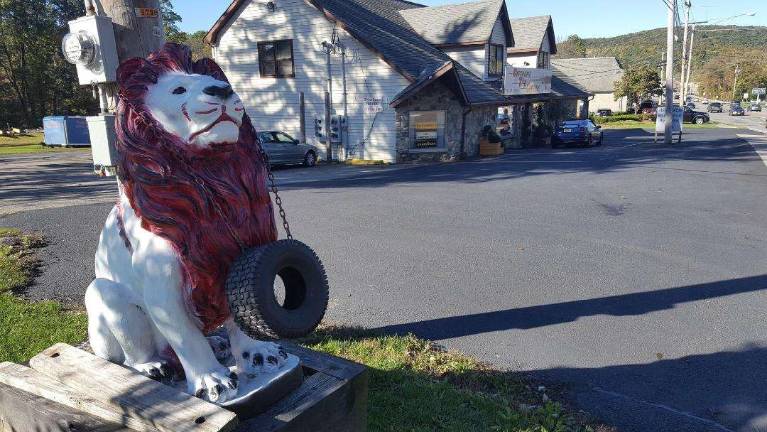 “Name the Lion” competition is on at Discount Tire Centers