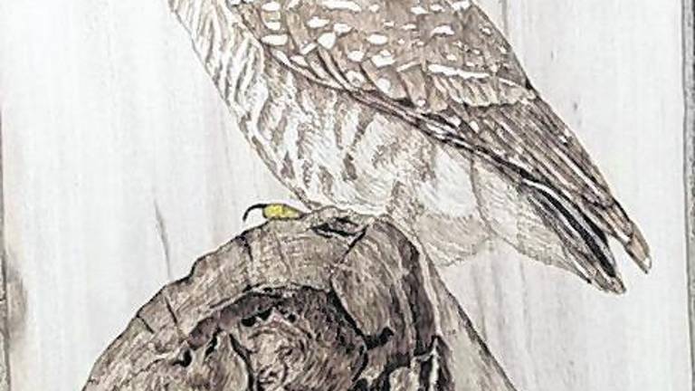 Sussex County Art Society to feature pyrography demonstration