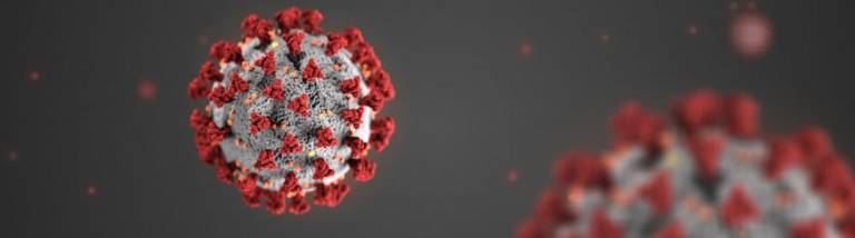 Sherrill, health officials hold coronavirus conference call