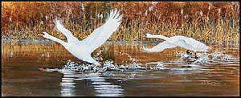 Wildlife art on sale