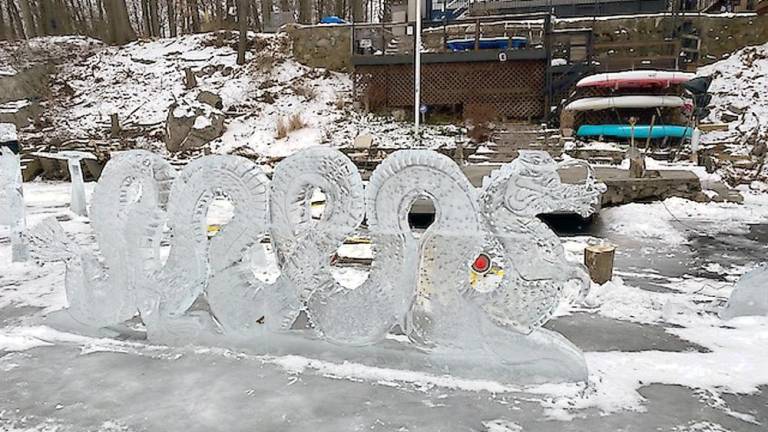 Frozen beauty