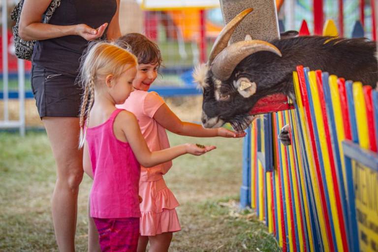 $!There are hundreds of animals to meet at the fair, all included with admission.