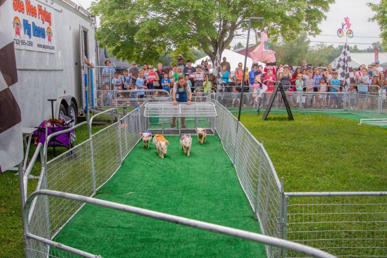 $!The New Jersey State Fair is back and better than ever this summer