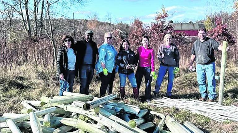 Volunteer event will remove tree tubes at Memory Park floodplain site