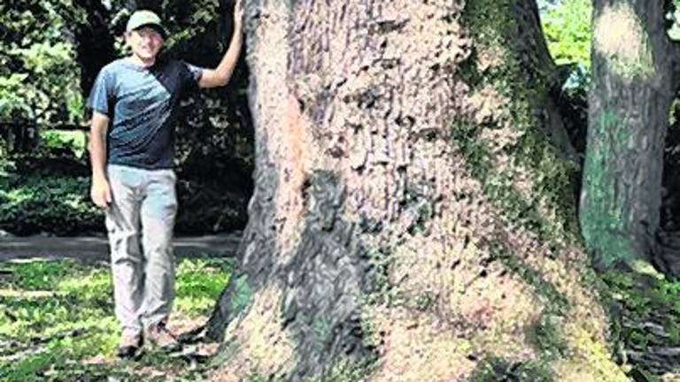 Forrest Jennings stands next to the tree.